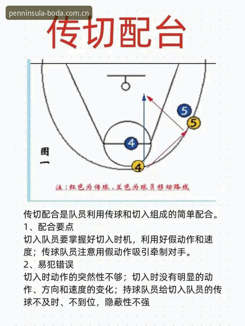 半岛体育平台篮球板块新手入门指南：从观赛到数据追踪